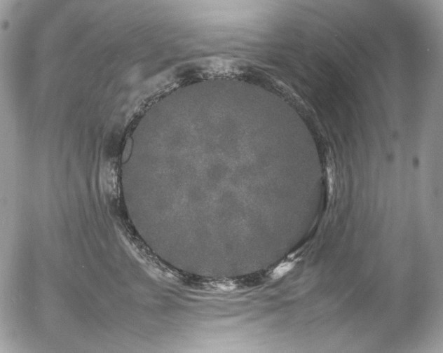 X0000054370715200507291047