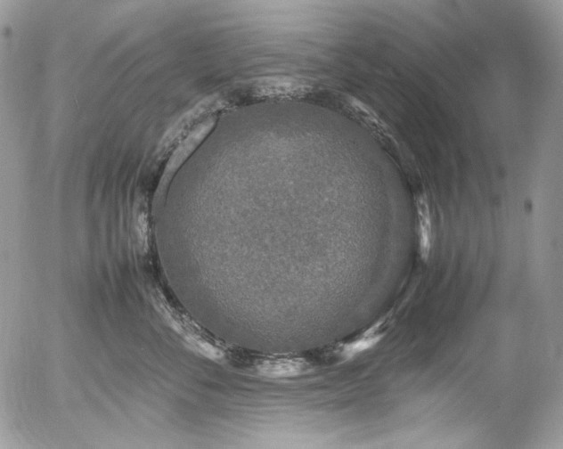 X0000054370716200507291047