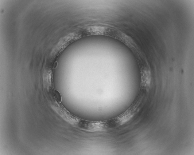 X0000054370717200507291047