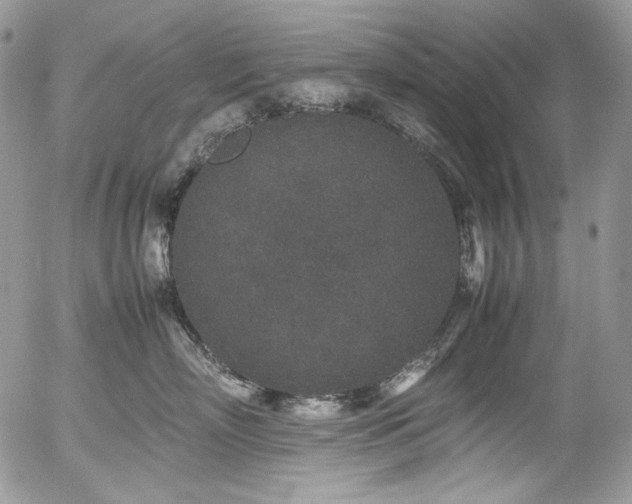 X0000054370718200507291047