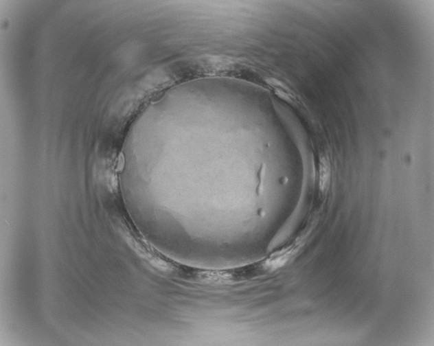 X0000054370719200507291047