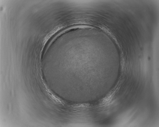 X0000054370721200507291046