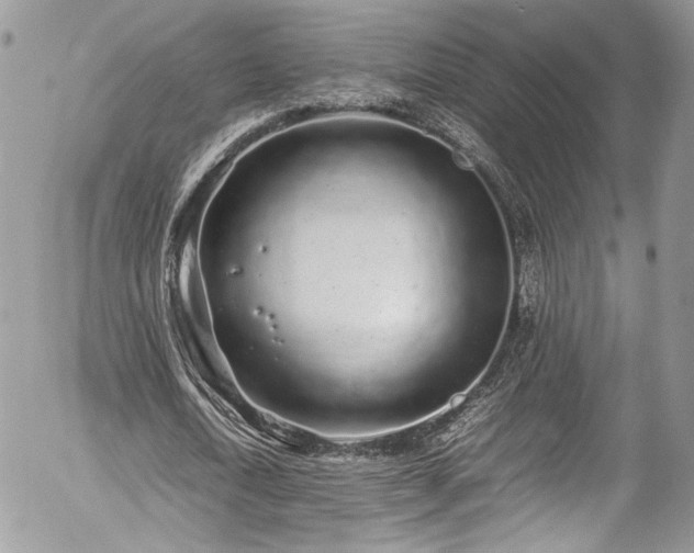 X0000054370722200507291046