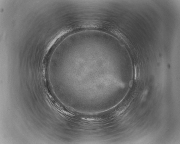 X0000054370723200507291046