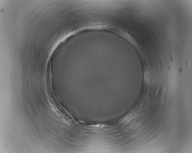 X0000054370724200507291046