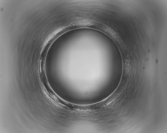 X0000054370726200507291046