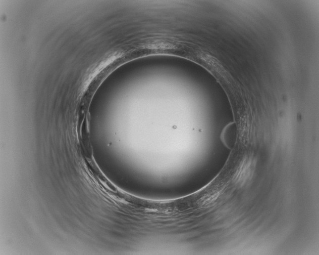 X0000054370727200507291046