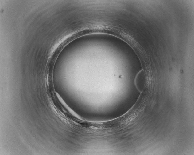 X0000054370728200507291046