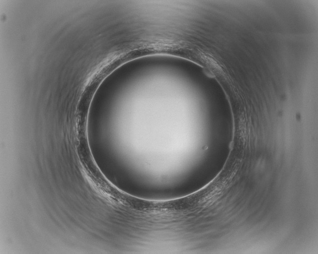 X0000054370730200507291046