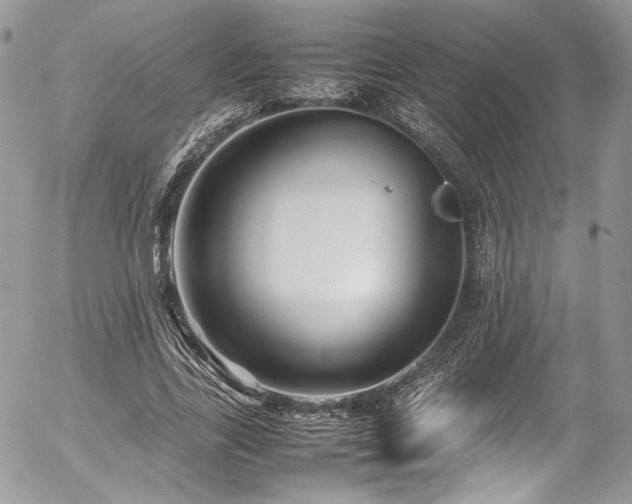 X0000054370731200507291046