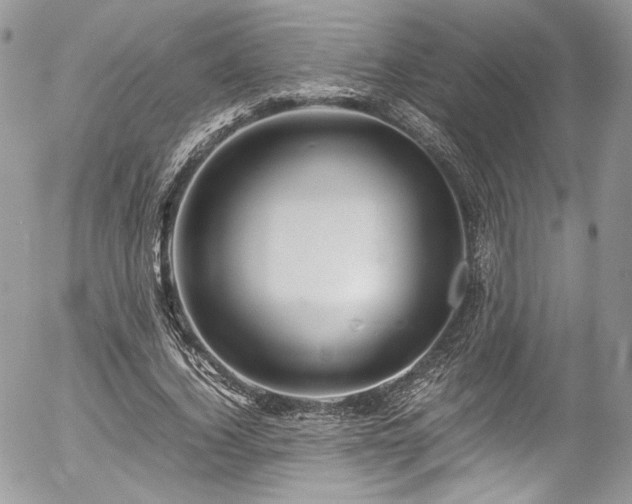 X0000054370732200507291046