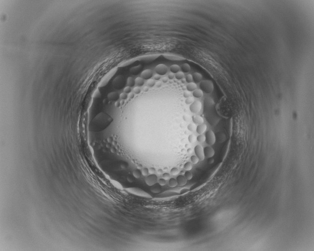 X0000054370733200507291046