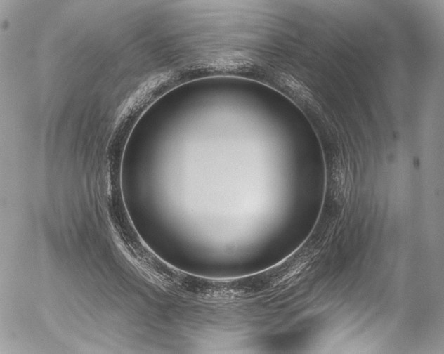 X0000054370734200507291046