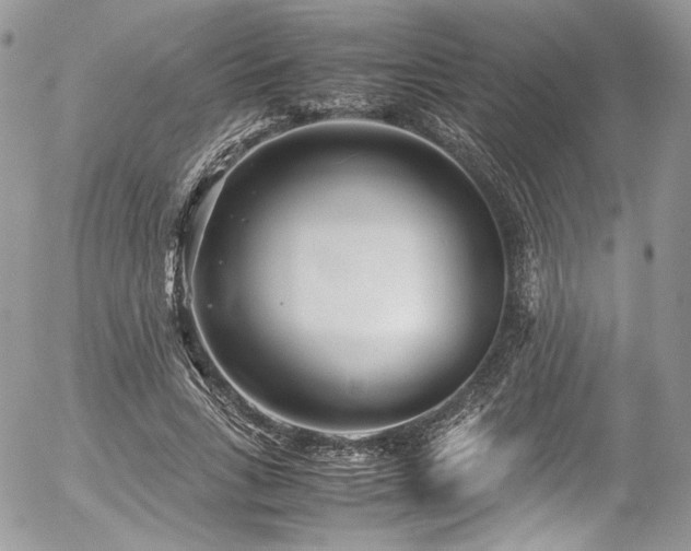 X0000054370735200507291046