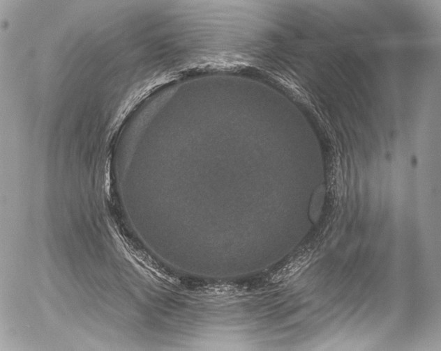 X0000054370736200507291046