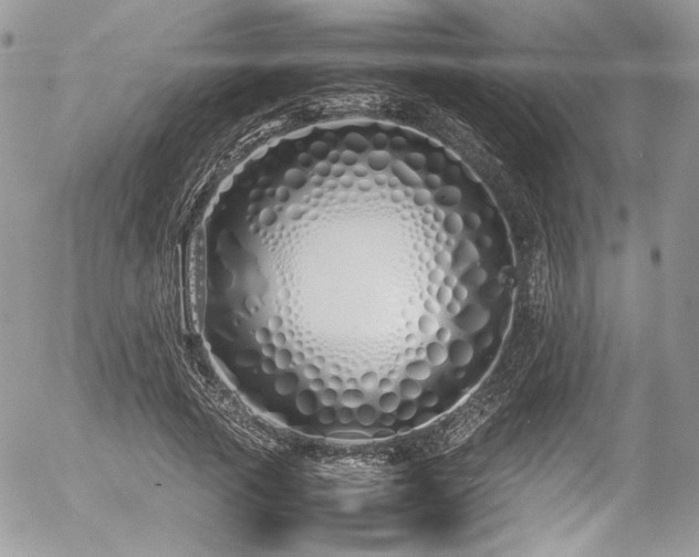 X0000054370737200507291046