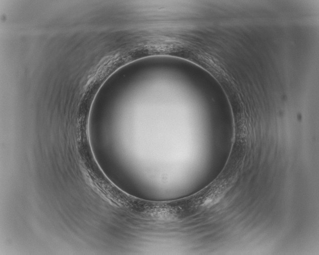 X0000054370738200507291046