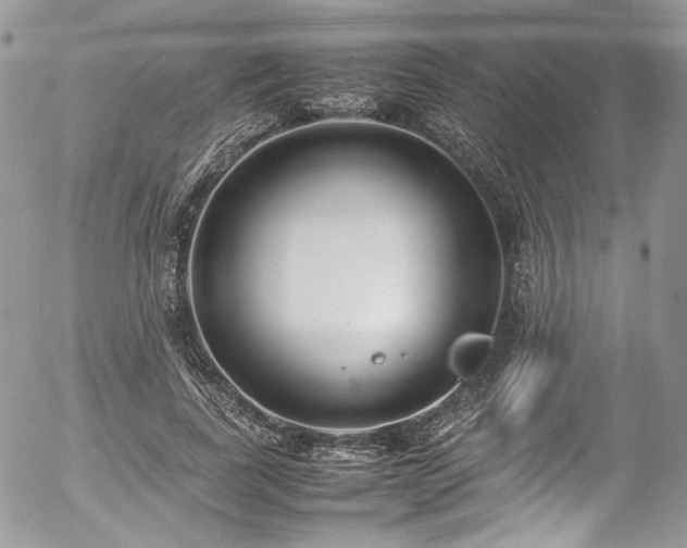 X0000054370739200507291046