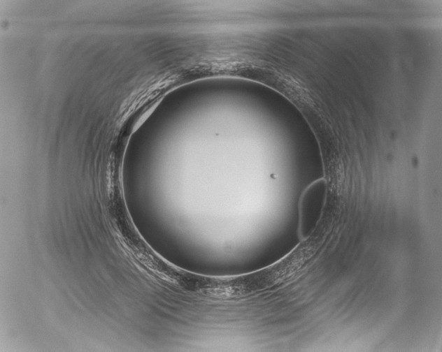 X0000054370740200507291046