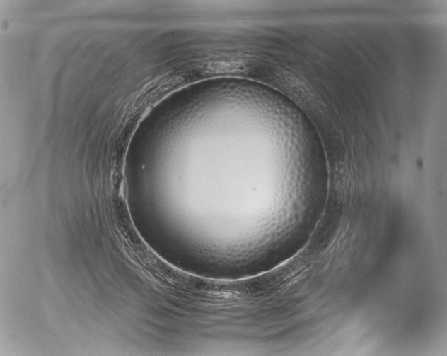 X0000054370741200507291046