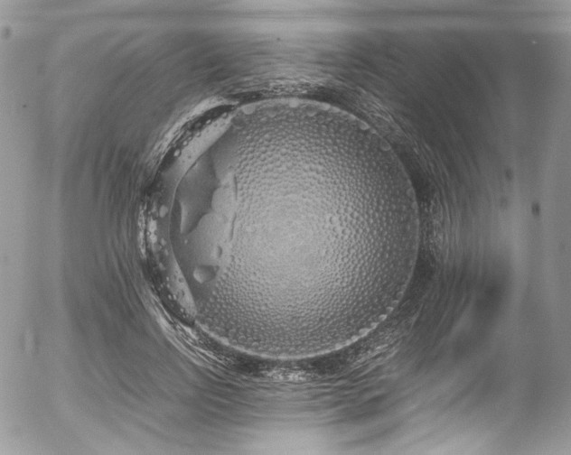 X0000054370742200507291046