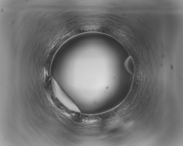 X0000054370743200507291046