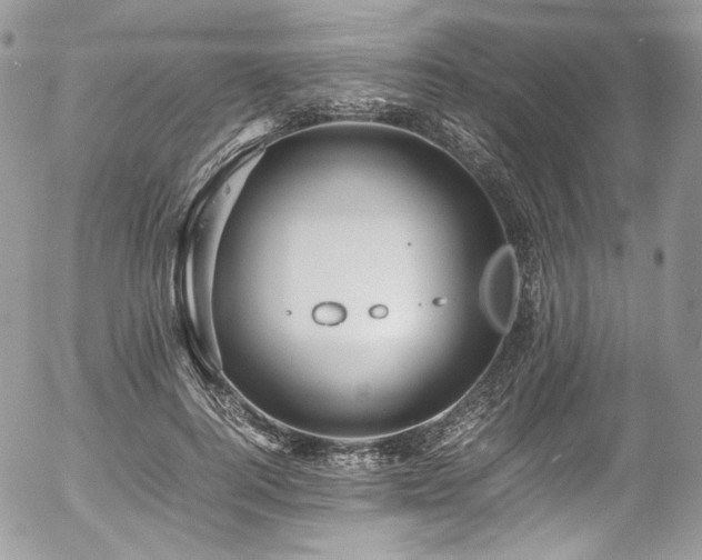 X0000054370744200507291046