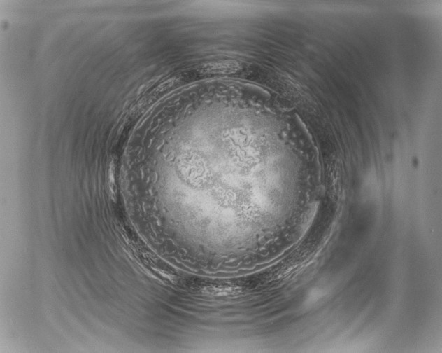 X0000054370745200507291046