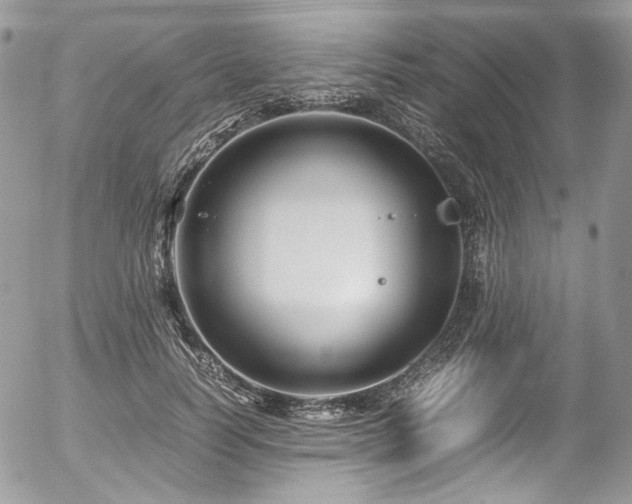 X0000054370746200507291046