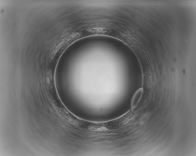 X0000054370747200507291046