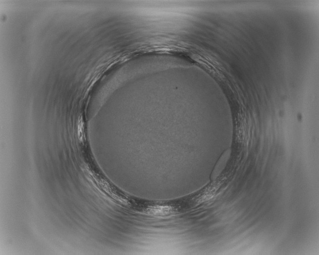 X0000054370748200507291046