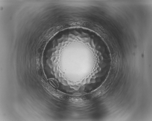 X0000054370749200507291046