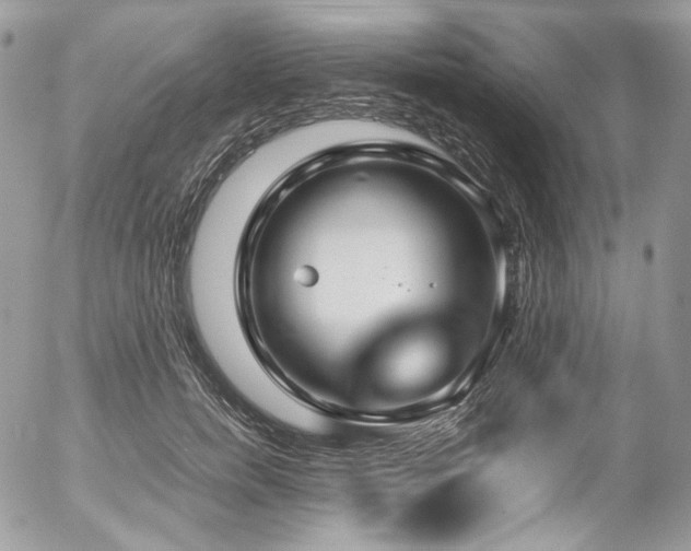 X0000054370750200507291046