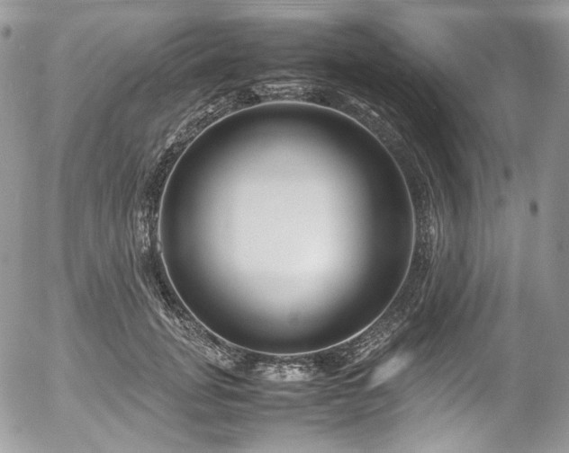 X0000054370751200507291046