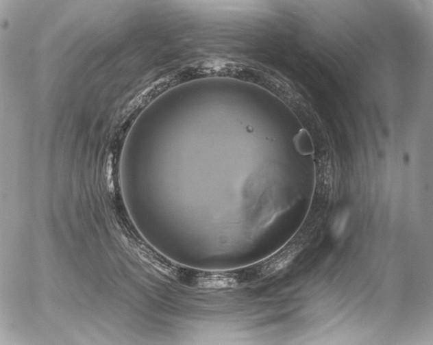 X0000054370754200507291046