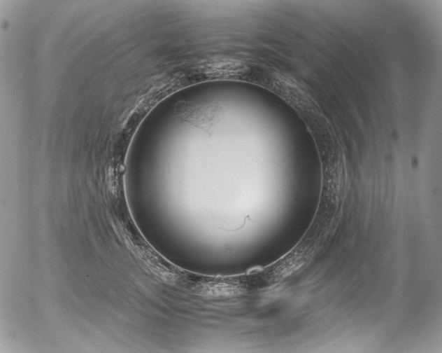 X0000054370755200507291046