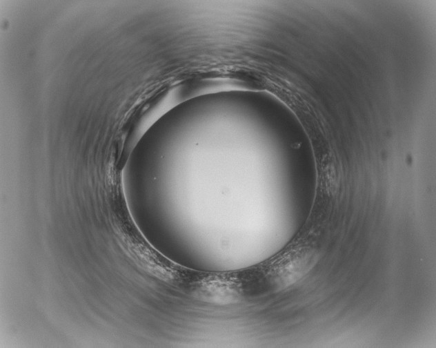 X0000054370756200507291046