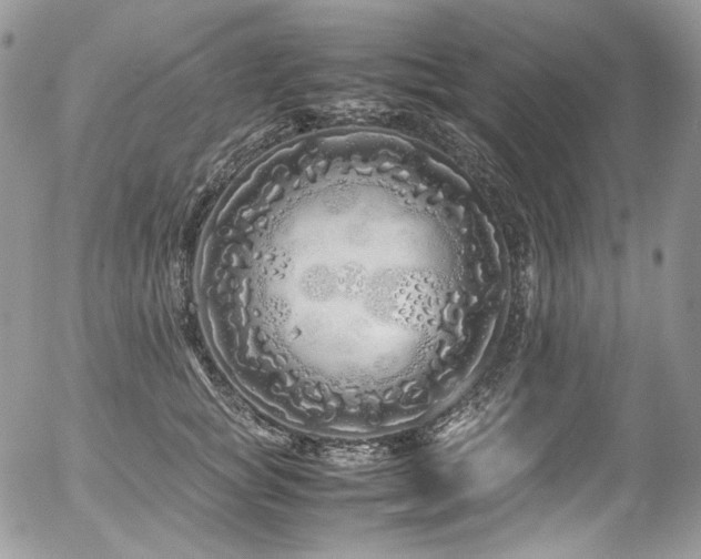 X0000054370757200507291046