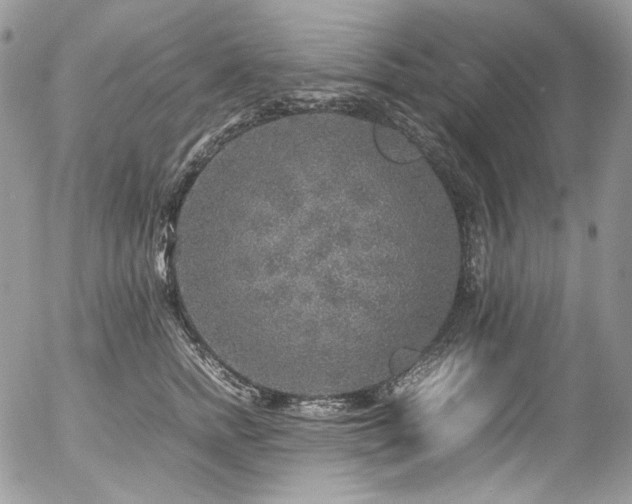 X0000054370758200507291046