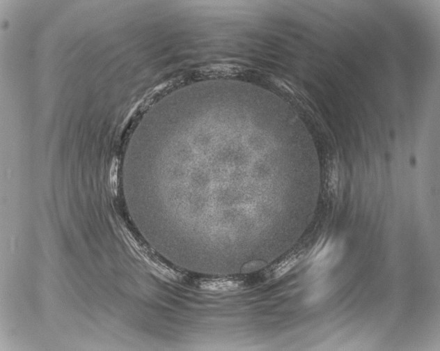 X0000054370759200507291046