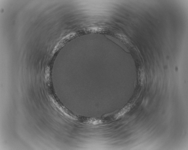 X0000054370760200507291046