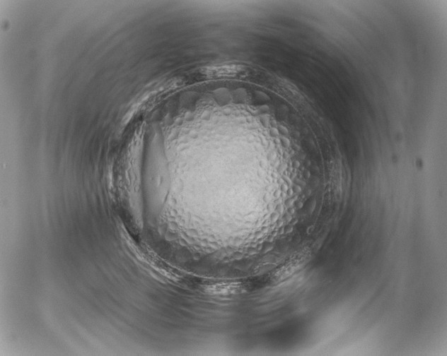 X0000054370761200507291046