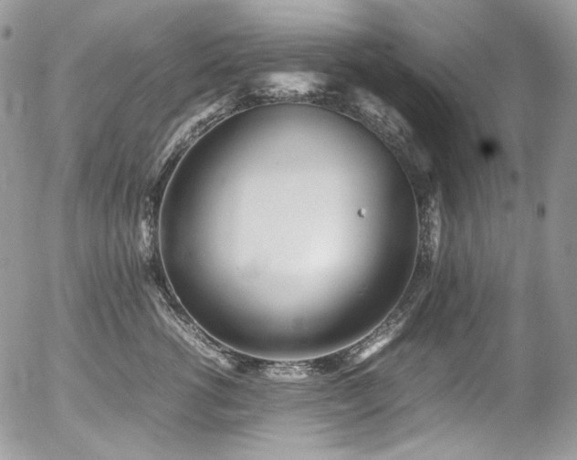 X0000054370762200507291046