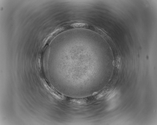 X0000054370763200507291046