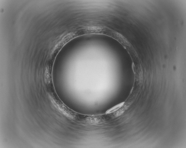 X0000054370764200507291047