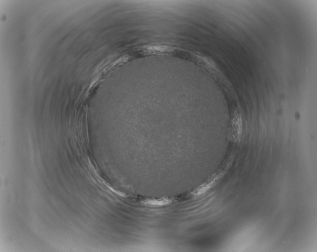 X0000054370765200507291047