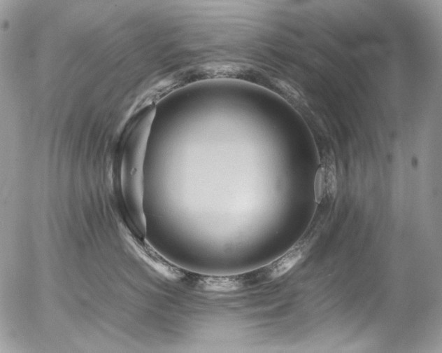 X0000054370766200507291047