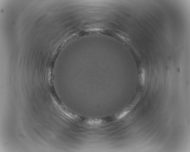 X0000054370767200507291047