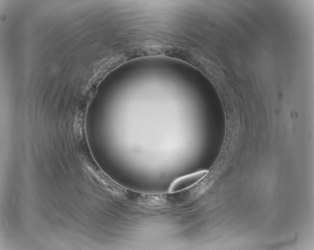 X0000054370768200507291047