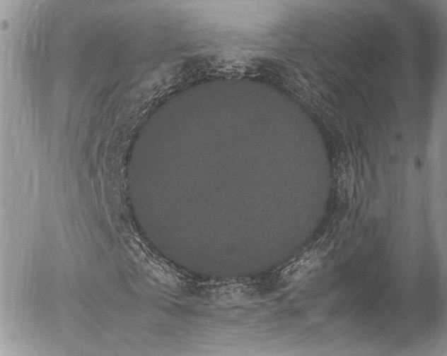 X0000054370769200507291046